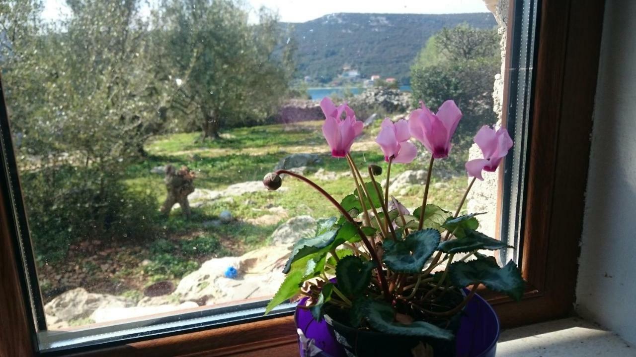 Holiday Home Strpuncina Luka  Dış mekan fotoğraf
